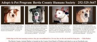 Bertie County Humane Society