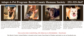 Bertie County Humane Society