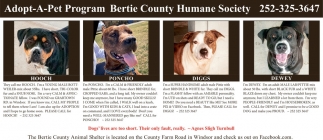 Bertie County Humane Society