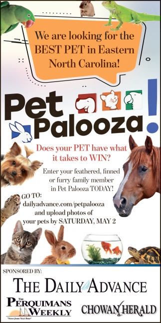 Pet Palooza