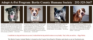 Bertie County Animal Shelter