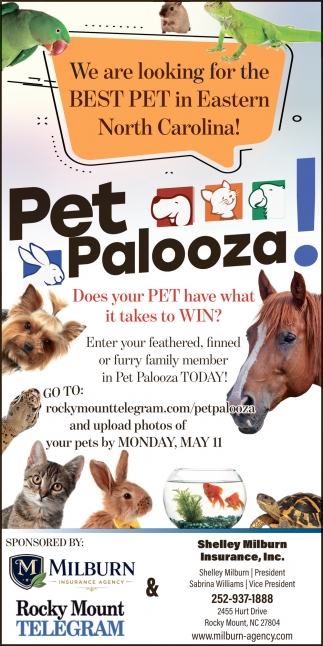 Pet Palooza