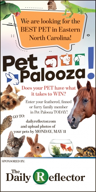 Pet Palooza
