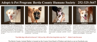 Bertie County Animal Shelter