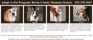 Bertie County Animal Shelter