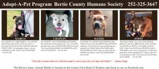 Bertie County Animal Shelter