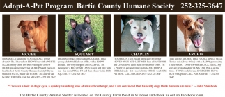 Bertie County Humane Society