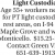 Light Custodial
