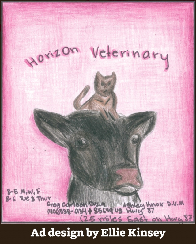 Veterinary Services, Horizon Veterinary