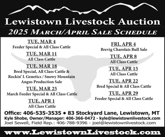 Livestock Auctions, Lewistown Livestock Auction, Lewistown, MT