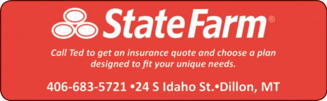 Call Ted to Get an Insurance Quaote and Choose a Plan Designed to Fit Your Unique Needs, State Farm - Dillon, Dillon, MT