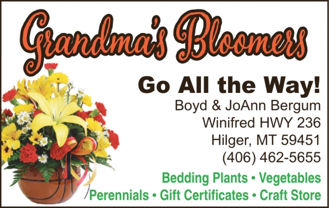 Bedding Plants, Grandma's Bloomers, Hilger, MT