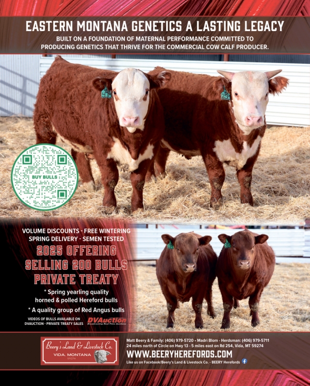 Eastern Montana Genetics a Lasting Legacy, Beery's Land & Livestock Co., Vida, MT