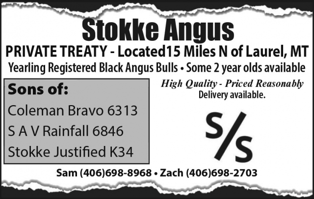 Private Treaty, Stokke Angus