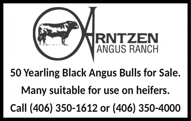 Angus Ranch, Arntzen Angus