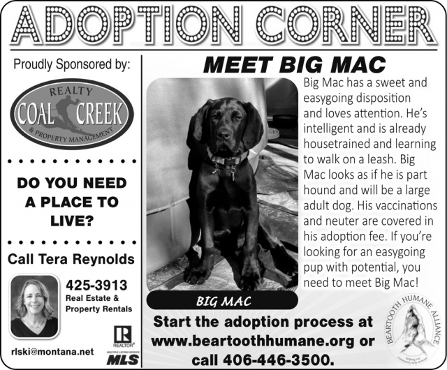 Adoption Corner, Tera Reynolds - Coal Creek Realty & Property Management
