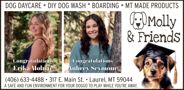 Dog Day Care, Molly & Friends, Laurel, MT