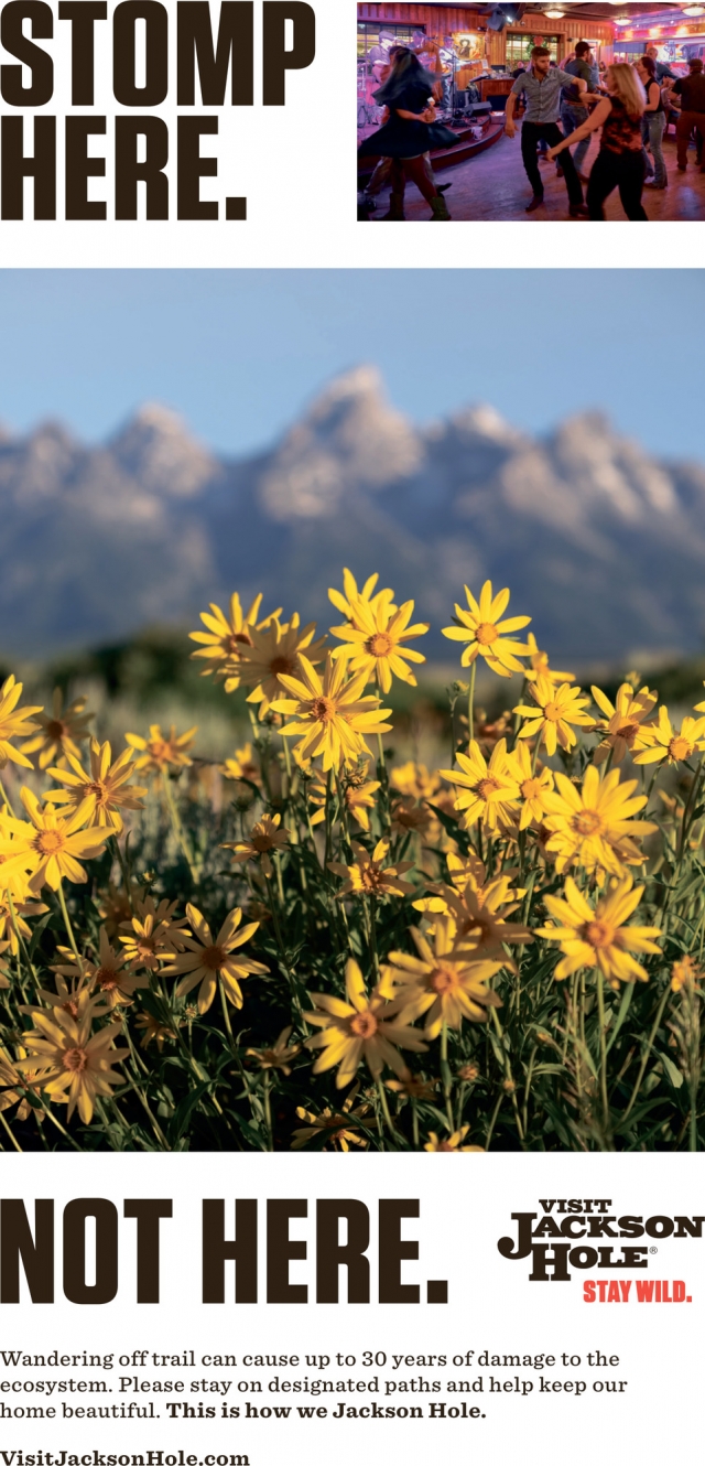 Stomp Here., Visit Jackson Hole