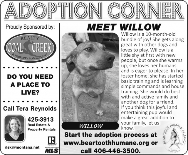 Adoption Corner, Tera Reynolds - Coal Creek Realty & Property Management