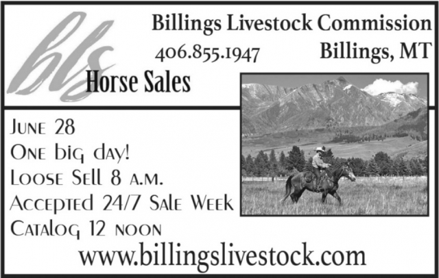 Horse Sales, Billings Livestock Commission, Billings, MT