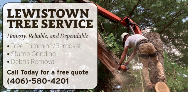 Tree Trimming, Lewistown Tree Service