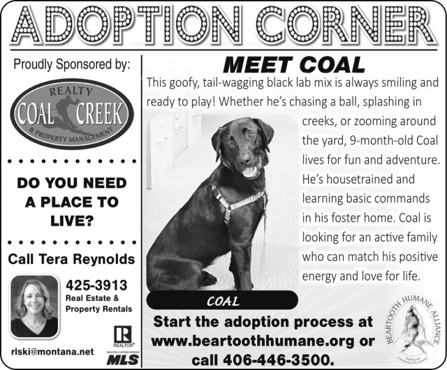 Adoption Corner, Tera Reynolds - Coal Creek Realty & Property Management