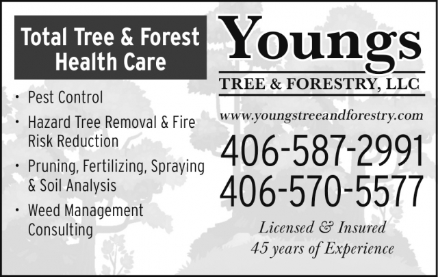 Pest Control, Youngs Tree & Forestry, LLC