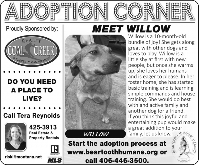 Adoption Corner, Tera Reynolds - Coal Creek Realty & Property Management