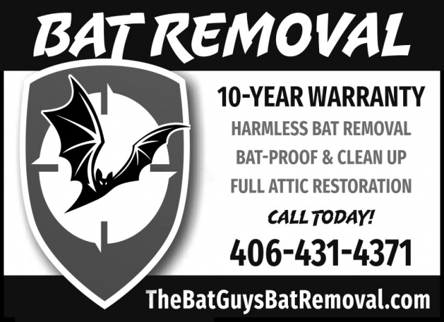 Bat Removal, The Bat Guys Bat Removal