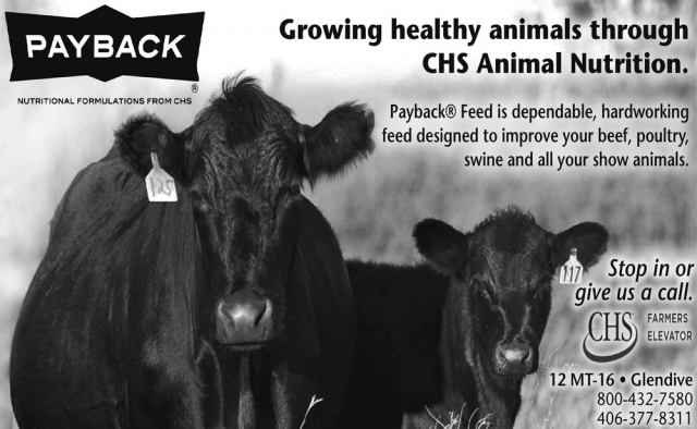 Growing Healthy Animals Through CHS Animal Nutrition, CHS Farmers Elevator, Miles City, MT
