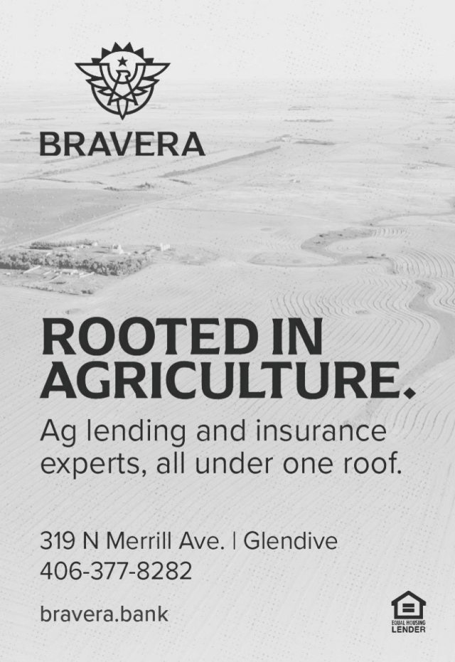 Rooted in Agriculture., Bravera Bank