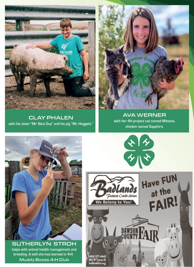 Have Fun at The Fair!, Badlands Federal Credit Union - Glendive, Glendive, MT