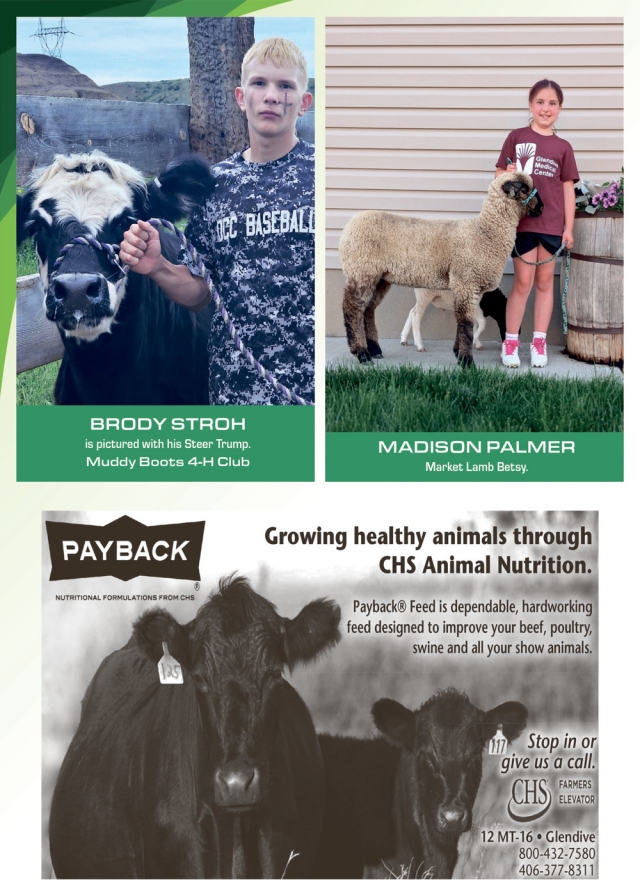 Growing Healthy Animals Through CHS Animal Nutrition, CHS Farmers Elevator, Miles City, MT