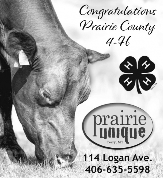 Congratulations Prairie County 4-H, Prairie Unique, Terry, MT