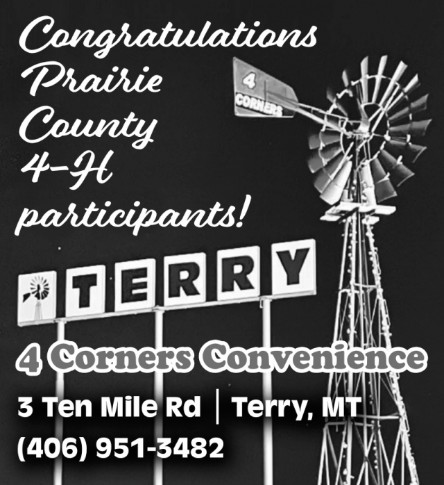 Convenience Store, 4 Corners Convenience, Terry, MT