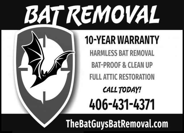 Bat Removal, The Bat Guys Bat Removal