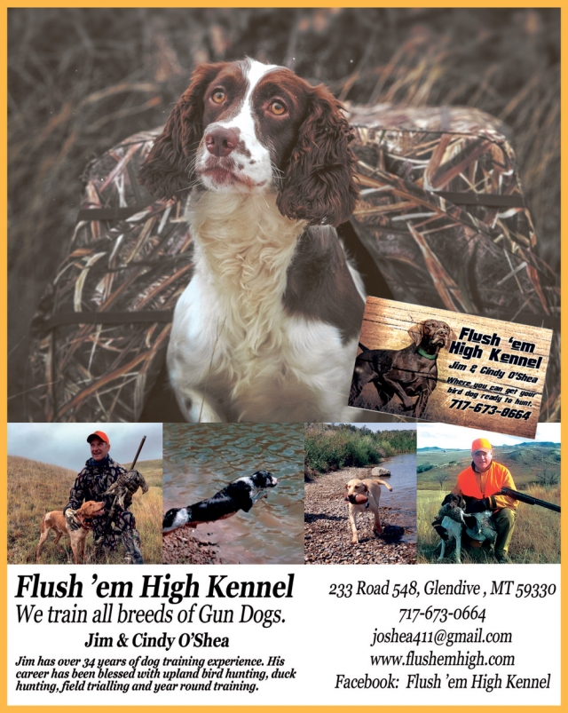 We Train All Breeds of Gun Dogs, Flush's Em High Kennel, Glendive, MT