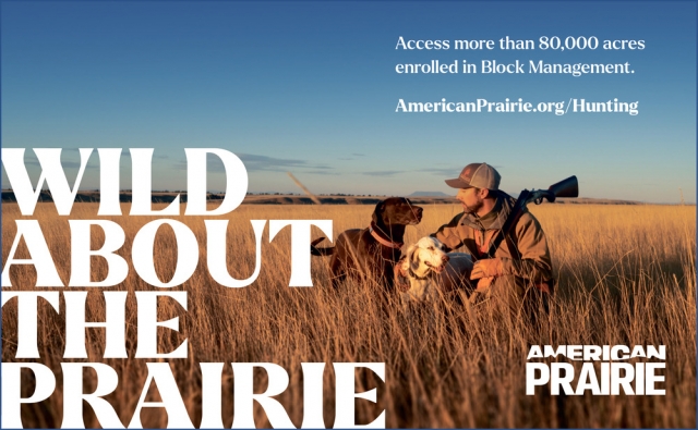Wild About the Prairie, American Prairie, Lewistown, MT