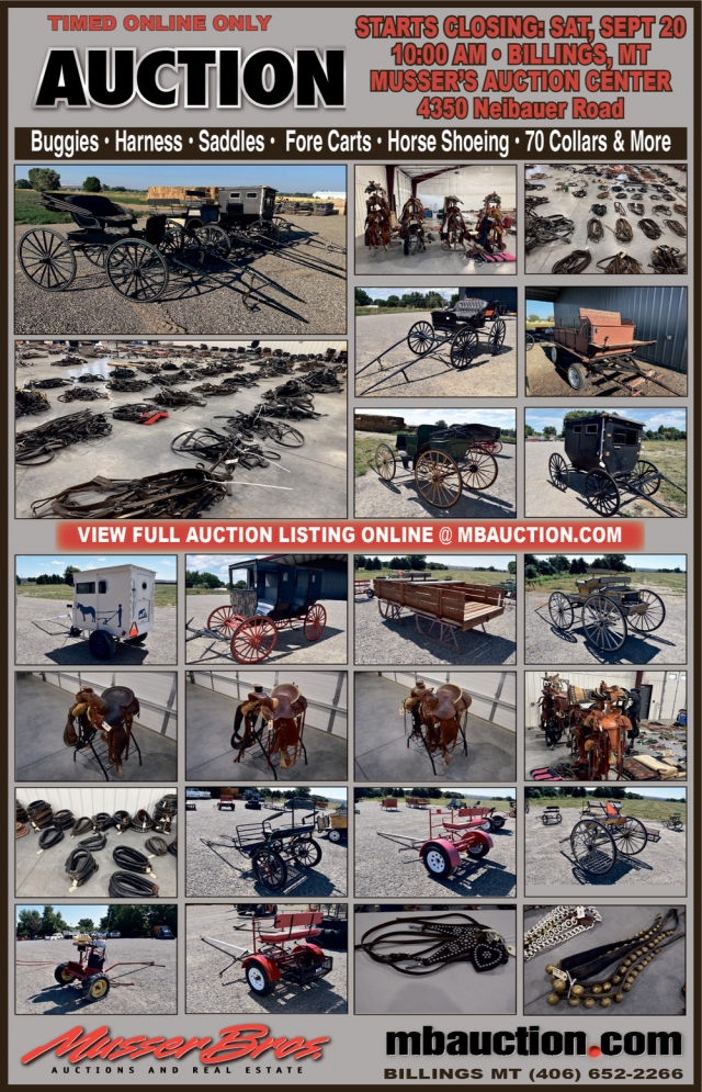 Timed Online Only Auction, Musser Bros Auctions and Real Estate, Billings, MT