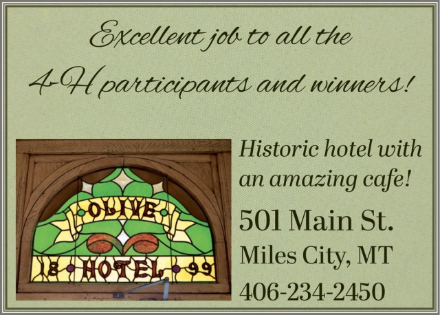 Excellent job to all the 4-H participants and winners!, Olive Hotel