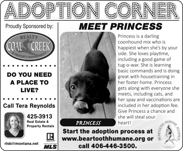 Adoption Corner, Tera Reynolds - Coal Creek Realty & Property Management