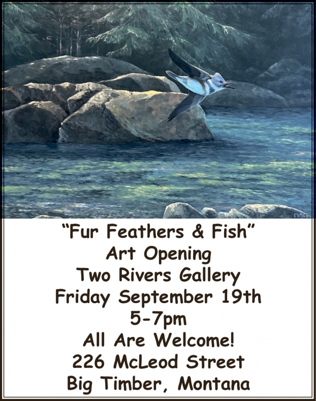 Art Opening, Two Rivers Gallery, Big Timber, MT