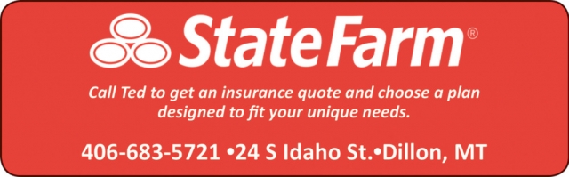 Call Ted to Get an Insurance Quote, State Farm - Dillon, Dillon, MT