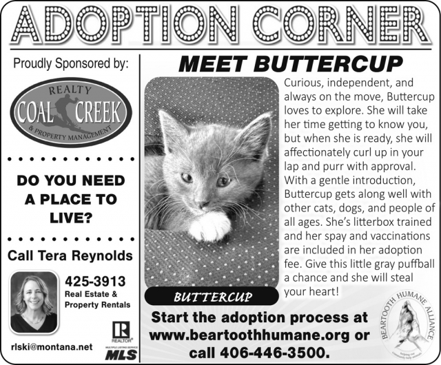 Adoption Corner, Tera Reynolds - Coal Creek Realty & Property Management