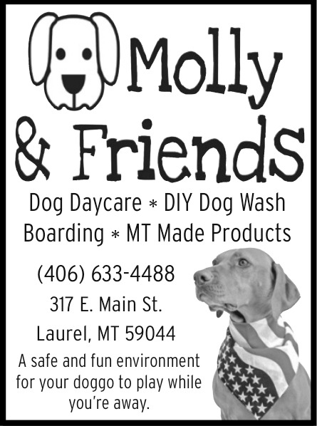 Dog Daycare, Molly & Friends, Laurel, MT