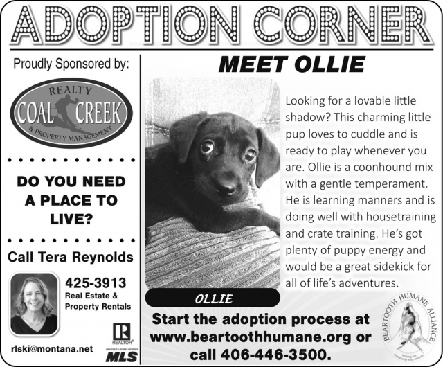 Adoption Corner, Tera Reynolds - Coal Creek Realty & Property Management