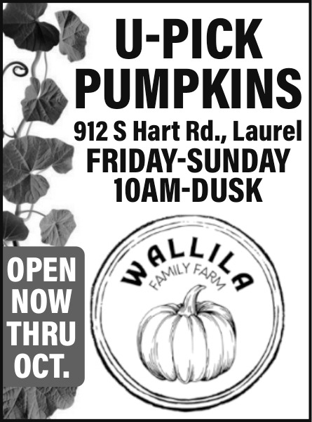 U-Pick Pumpkins, Wallila Family Farm