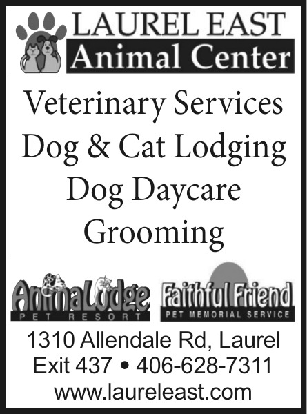Veterinary Services Dog & Cat Lodging, Laurel East Animal Hospital, Laurel, MT