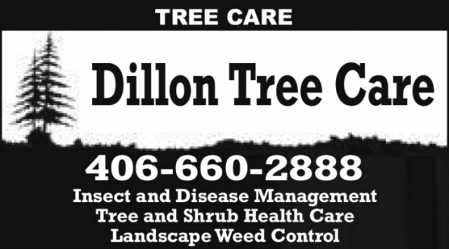 Tree Care, Dillon Tree Care, Dillon, MT
