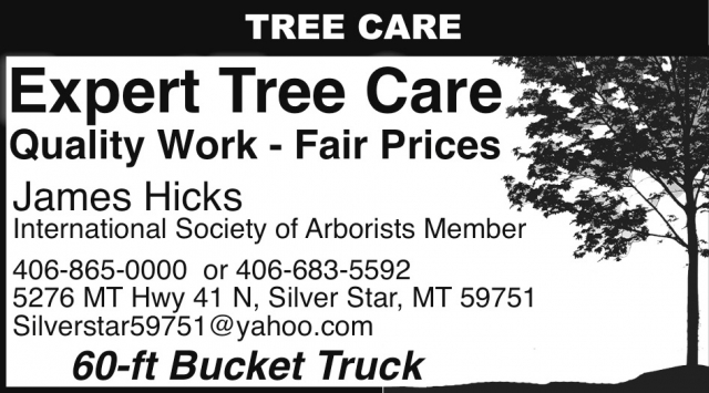 Tree Care, Expert Tree Care, Silver Star, MT